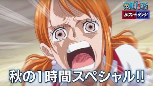 Especial de 1 hora de One Piece