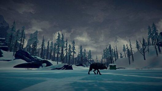 The Long Dark